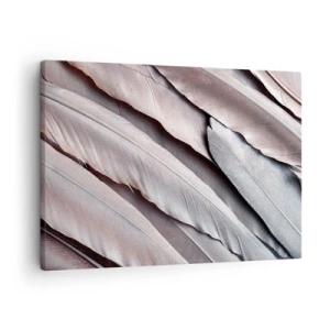 Obraz na plátne - Jemné pierka v jemných odtieňoch sivej a béžovej - 70x50cm - V ružovej a striebornej - Moderná nástenná dekorácia do obývacej izby a spálne ARTTOR