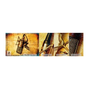 Vzorka fototapety Premium Canvas - Zlaté roky rádia - Mikrofón, Hudba, Retro - 100x30 cm