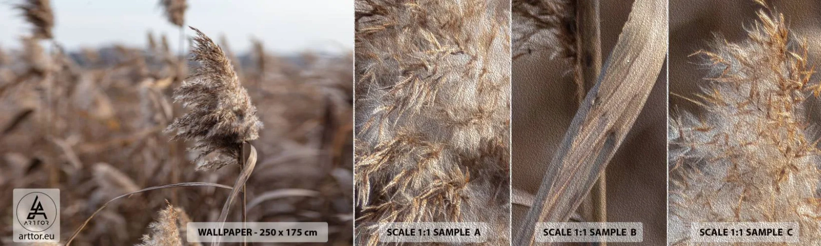 Vzorka fototapety Premium Sand - Čas odletieť s vetrom - Lúka, Pampasová tráva, Príroda - 100x30 cm