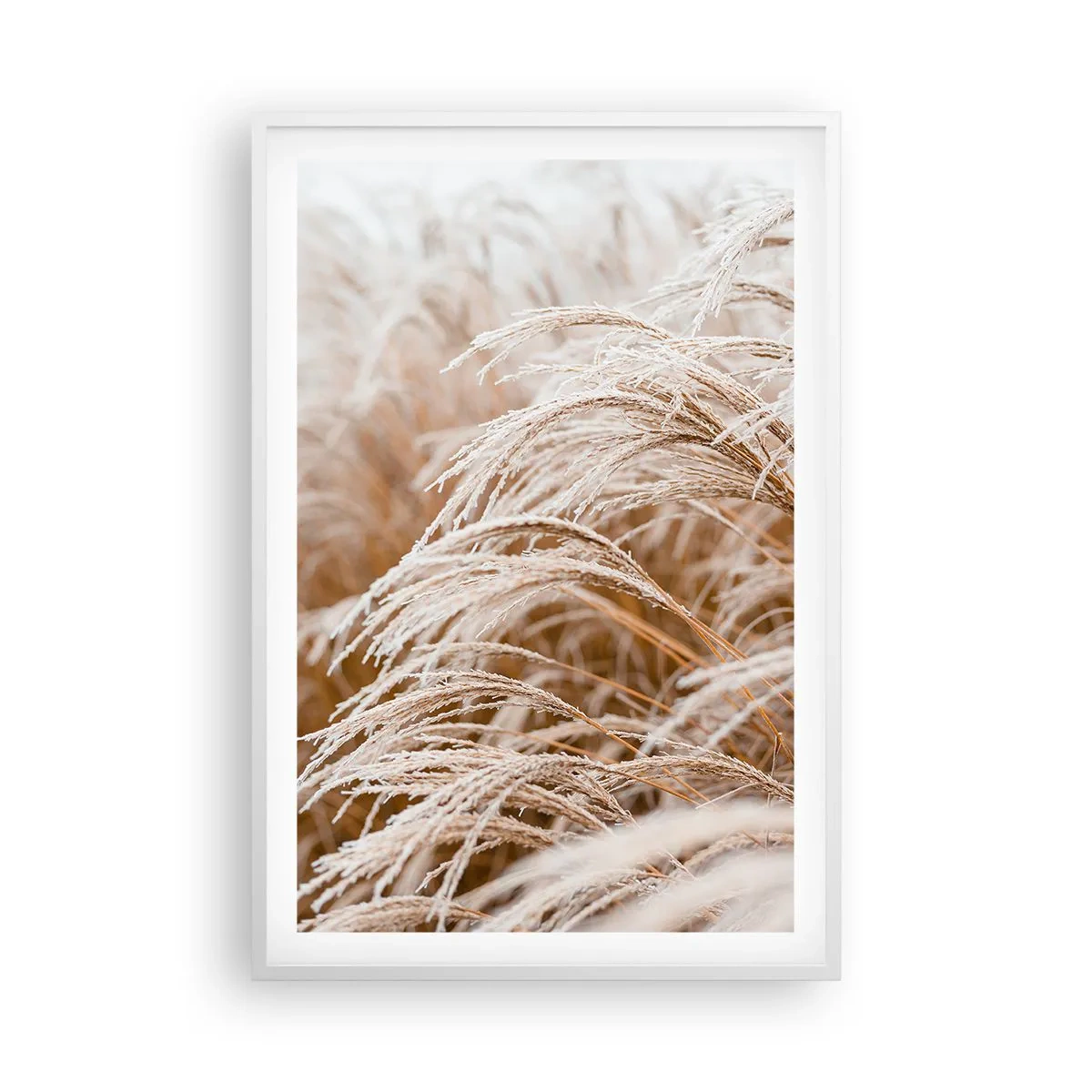 Plagát v bielom ráme - Klanenie jesennému slnku - 61x91 cm