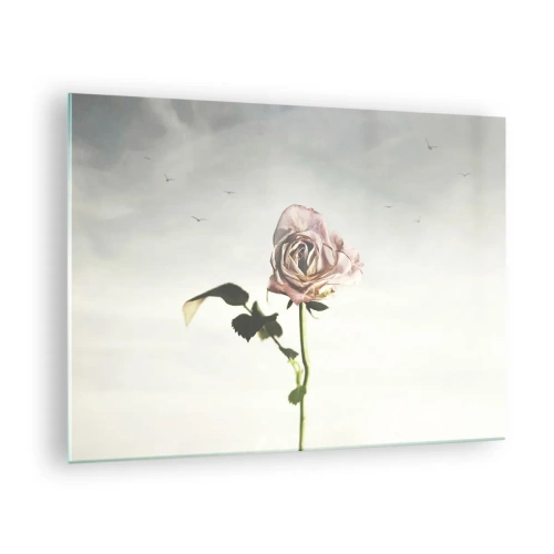 Obraz na skle - Jemná ruža na pozadí oblohy s lietajúcimi vtákmi - 70x50cm - Vítanie jari - Moderná nástenná dekorácia do obývacej izby a spálne ARTTOR