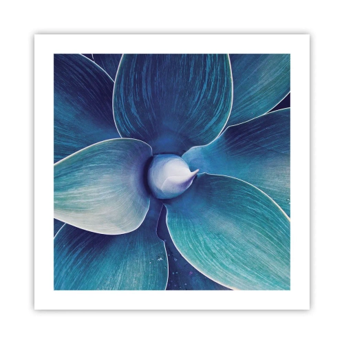 Plagát - Modrastý od neba - 50x50 cm