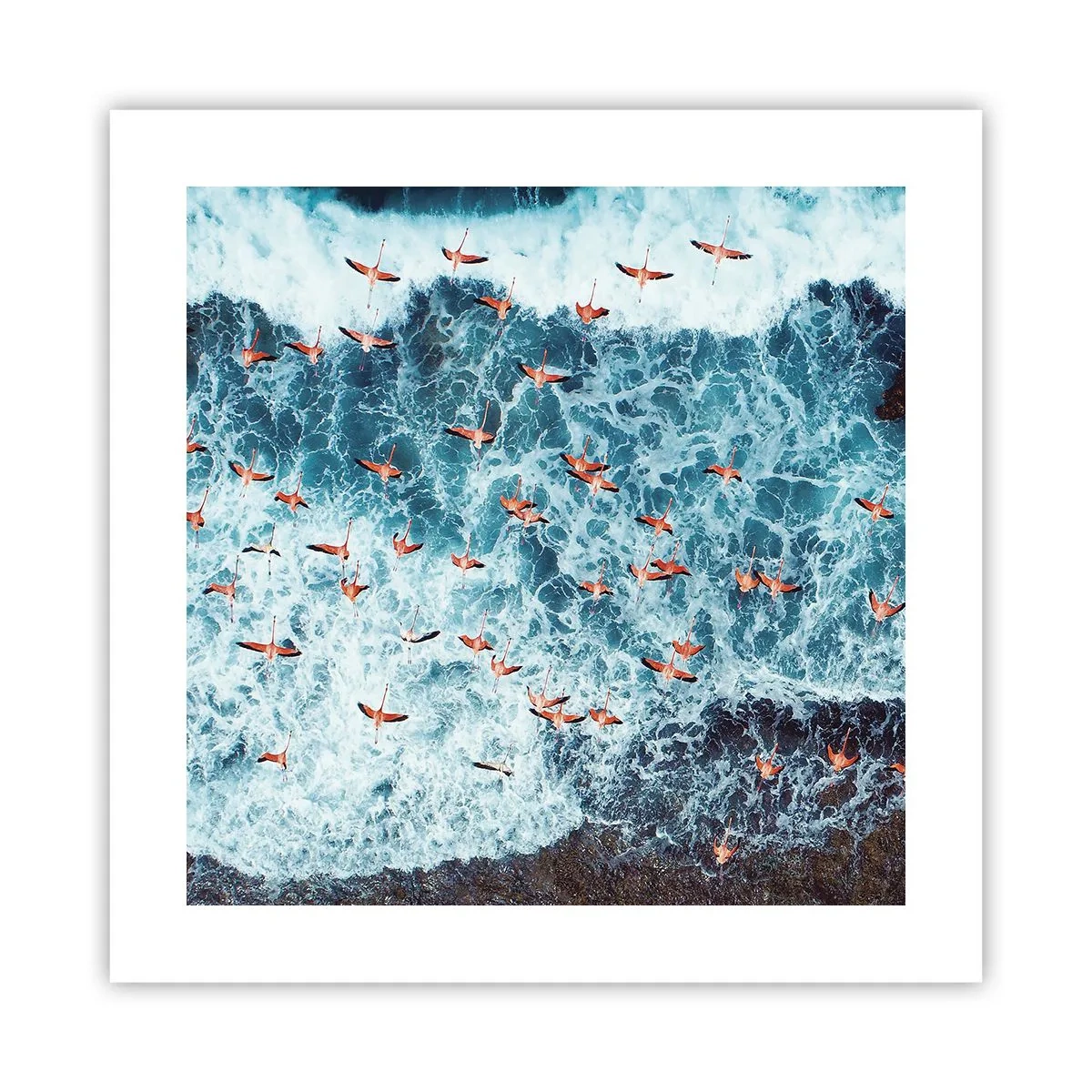 Plagát - Prímorský sprievod - 40x40 cm