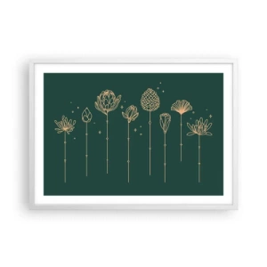 Plagát v bielom ráme - Bylinky - 70x50 cm