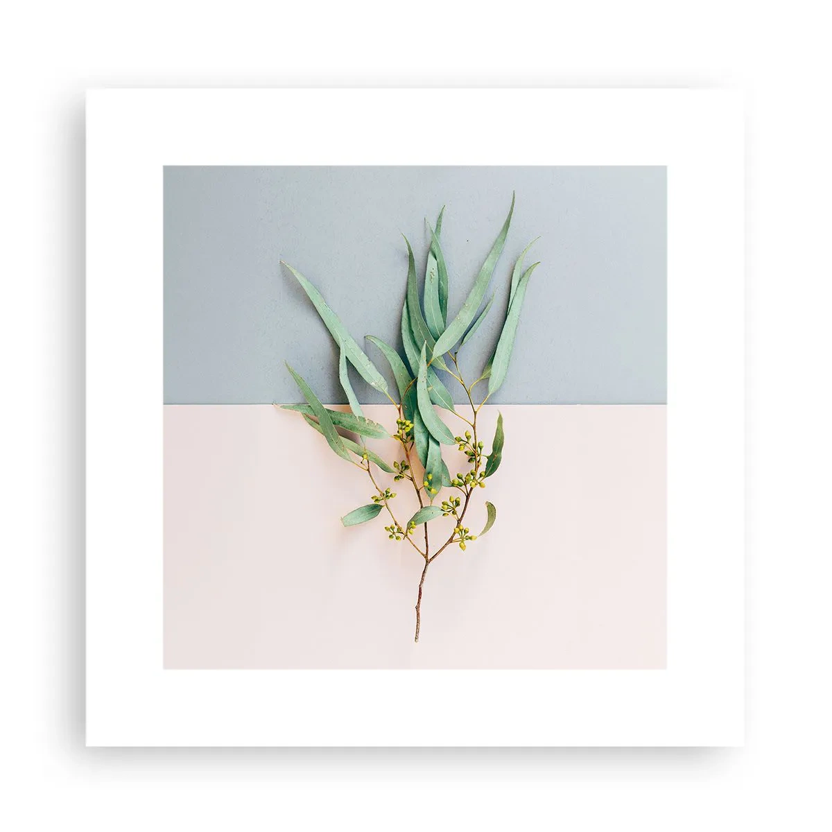 Plagát - Pastelová jemnosť - 30x30 cm