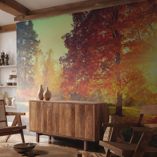 Fototapeta Premium Sand - Červené je krásne - Krajina, Park, Príroda - 500x350 cm