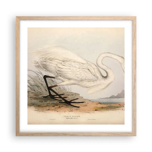 Plagát v ráme zo svetlého duba - Pani rákosín - 50x50 cm