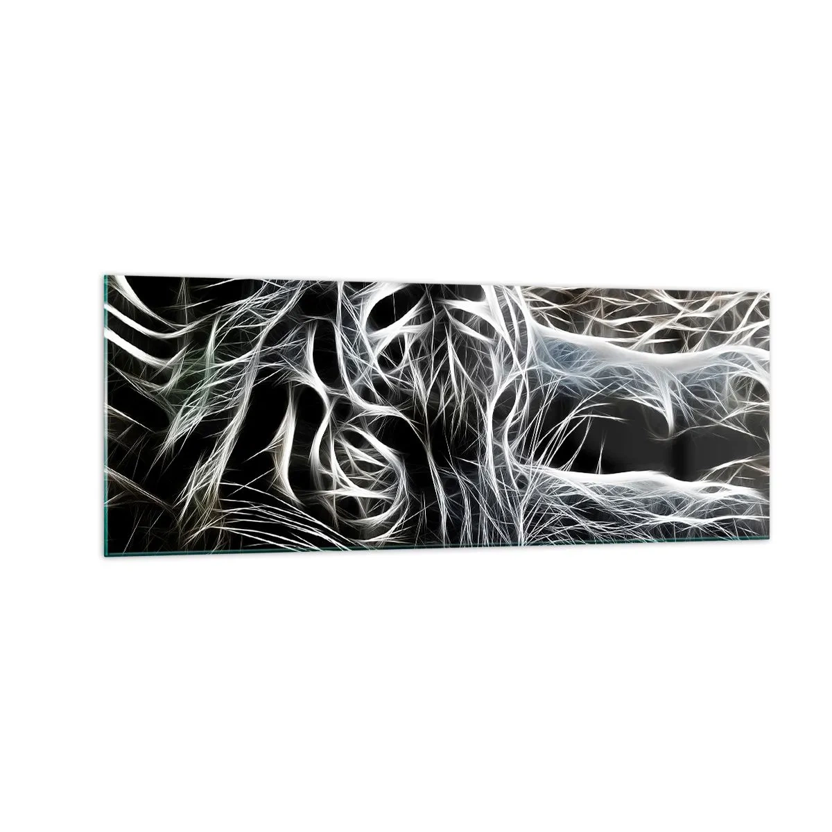 Obraz na skle - Štúdia mačacej ľahkosti - 140x50 cm