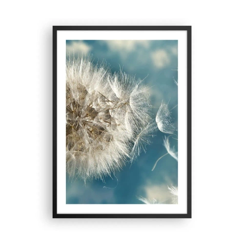 Plagát v čiernom ráme - Jemné semienka púpavy na modrom pozadí - 50x70cm - Dych anjela - Moderná nástenná dekorácia do obývacej izby a spálne ARTTOR
