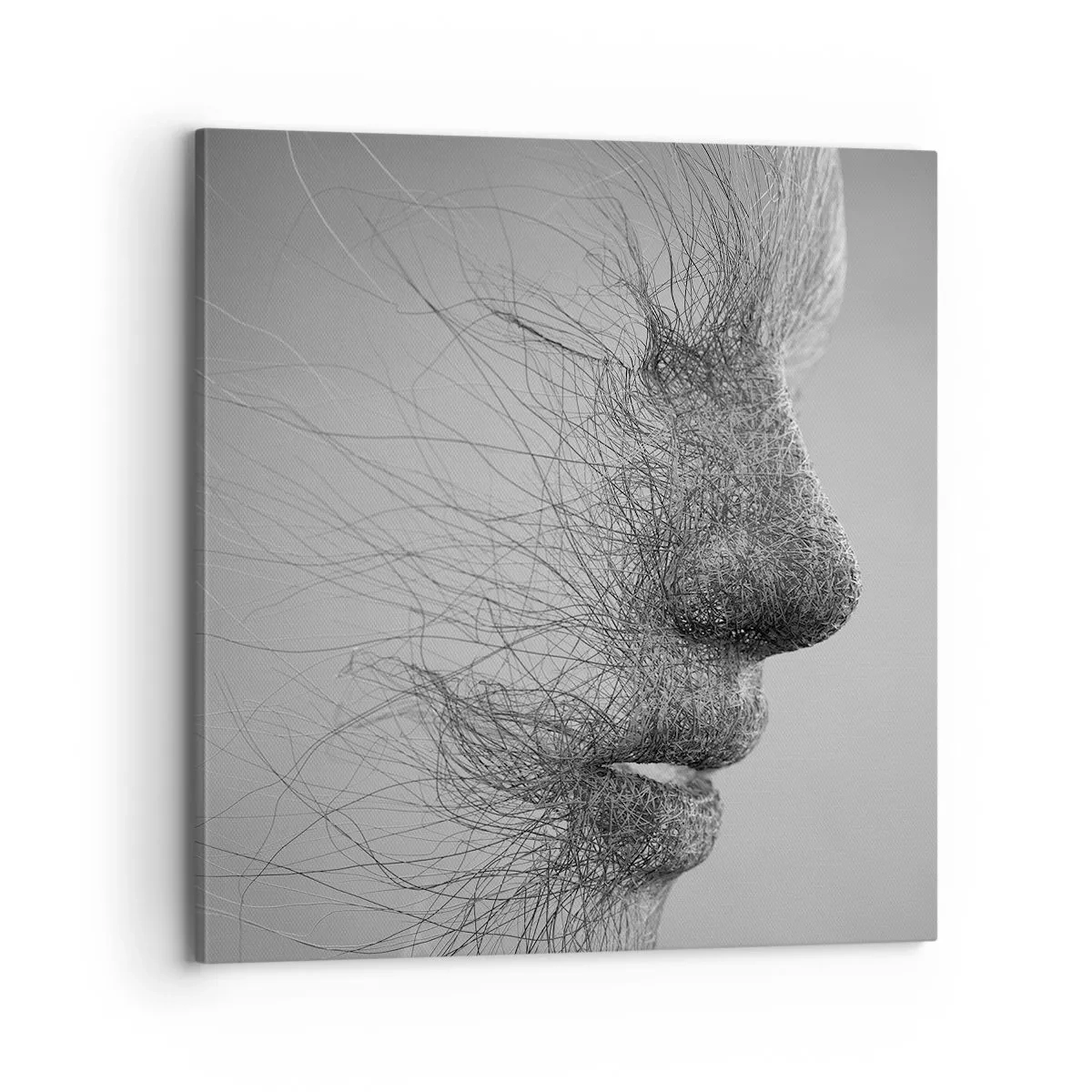 Obraz na plátne - Duch vetra - 70x70 cm