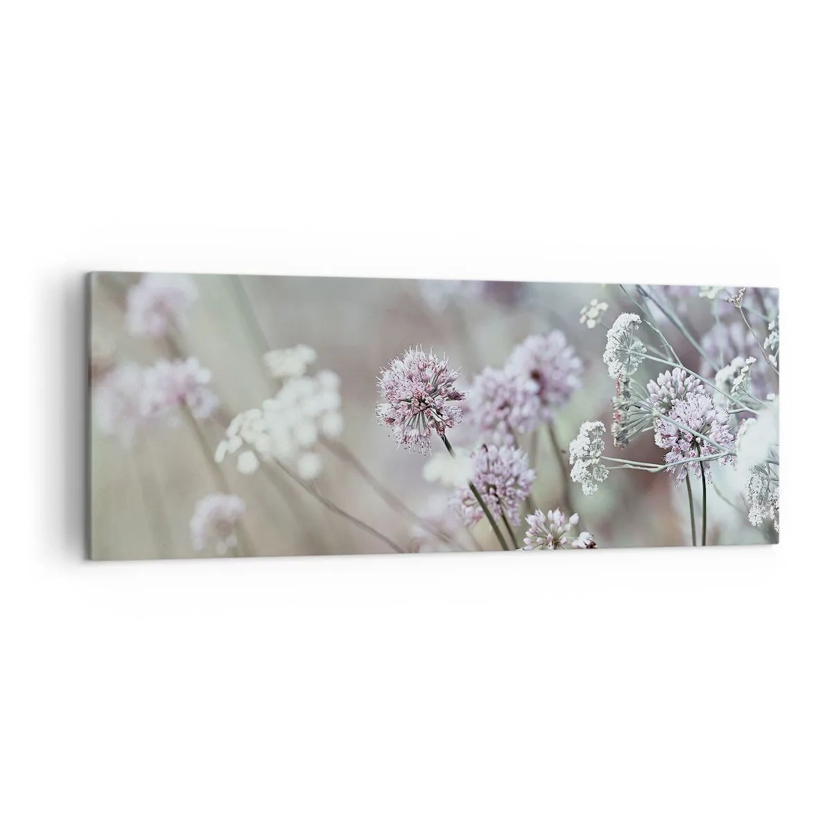 Obraz na plátne - Sladké filigrány byliniek - 140x50 cm