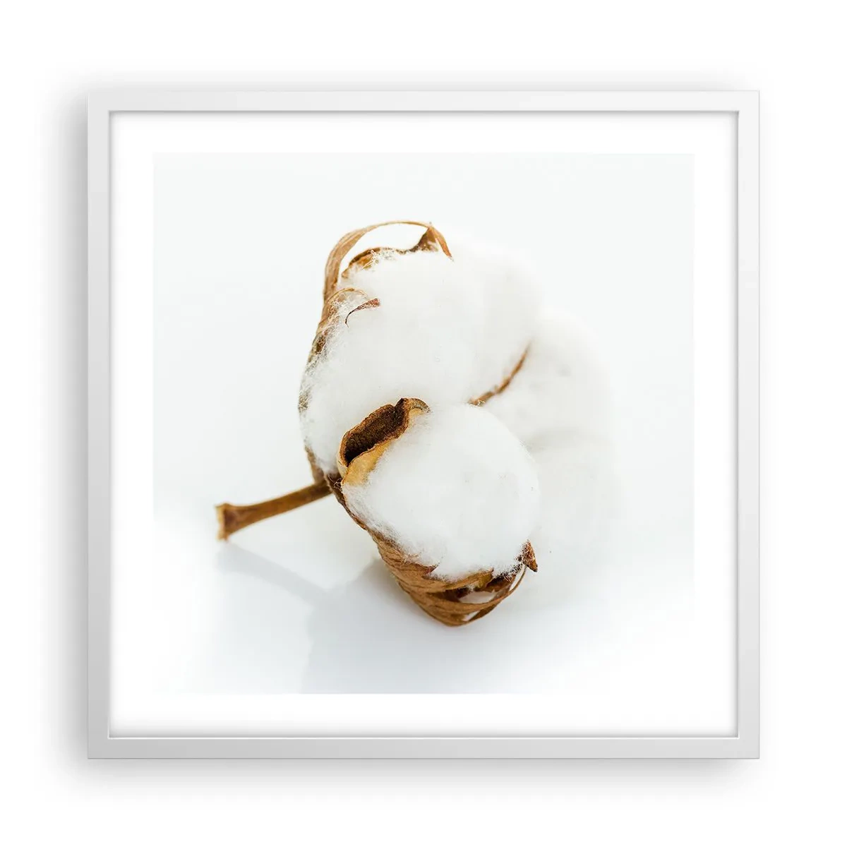 Plagát v bielom ráme - Mäkká od prírody - 50x50 cm