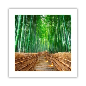 Plagát - Esencia ázijskej prírody - 40x40 cm