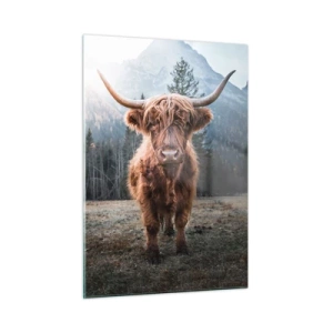 Obraz na skle - Pozdravy z horskej lúky - 50x70 cm