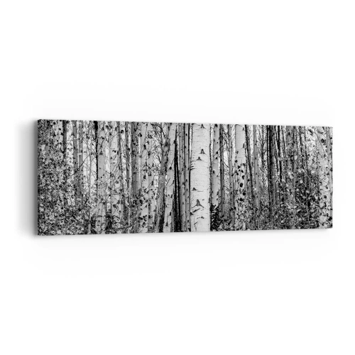 Obraz na plátne - Brezová kolonáda - 90x30 cm