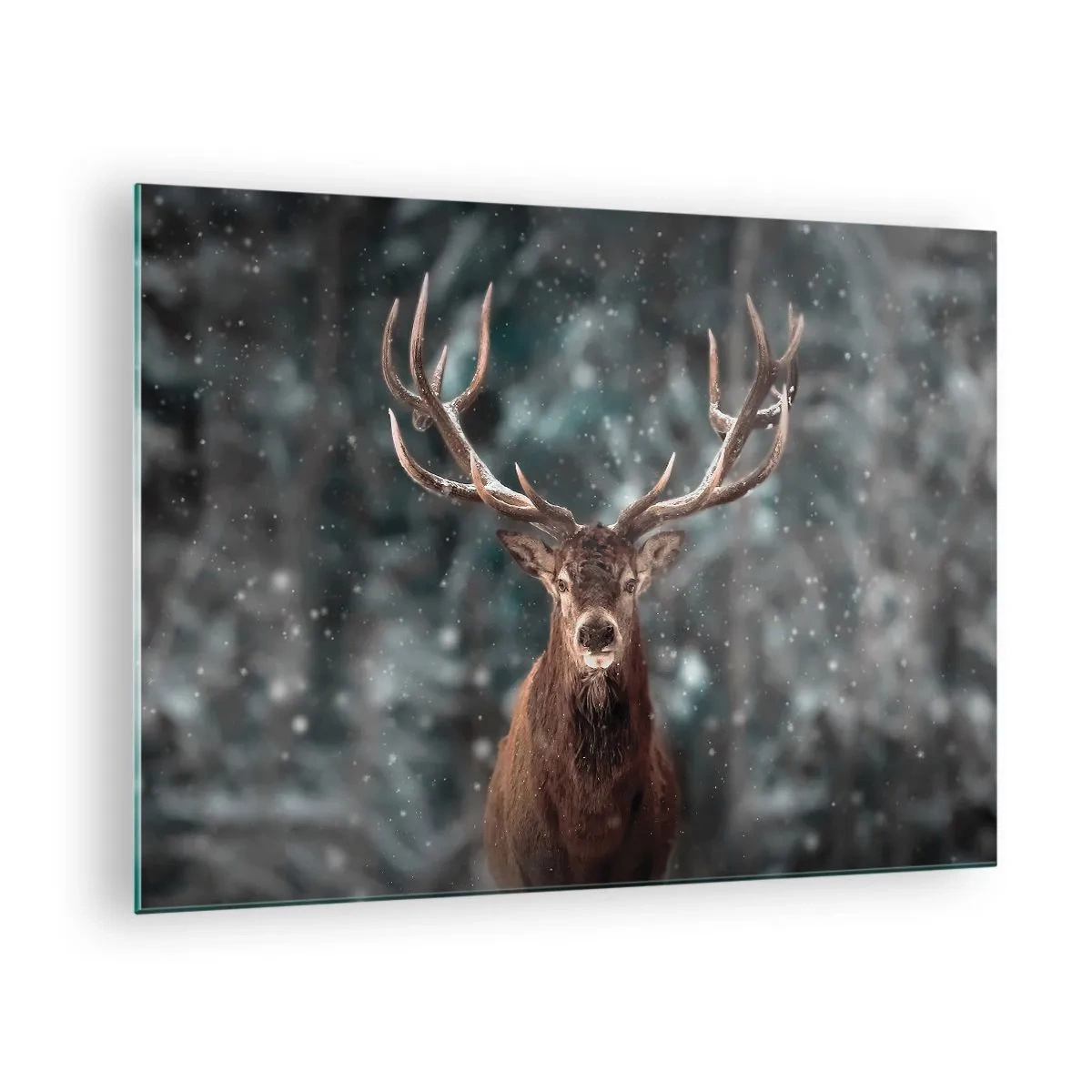 Obraz na skle - Hrdý jeleň v zimnom lese uprostred padajúceho snehu - 70x50cm - Skutočný kráľ lesa - Moderná nástenná dekorácia do obývacej izby a spálne ARTTOR