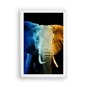 Plagát v bielom ráme - Excentrický muž, avšak nie podivín - 61x91 cm