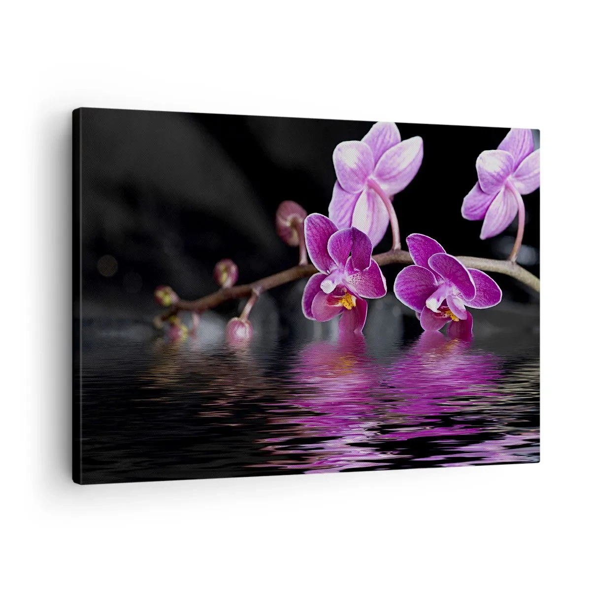 Obraz na plátne - Fialové orchidey nad pokojnou vodou na čiernom pozadí - 70x50cm - Ľaliový odraz krásy - Moderná nástenná dekorácia do obývacej izby a spálne ARTTOR