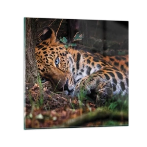 Obraz na skle - Ver mi - 50x50 cm