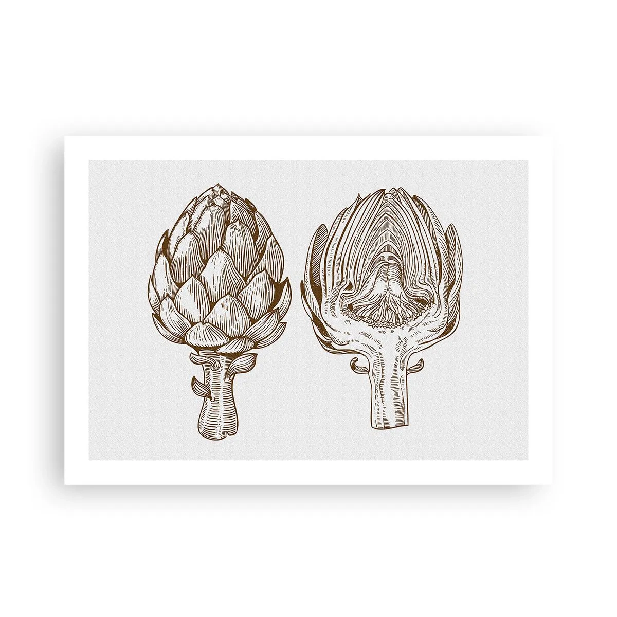 Plagát - Hodiny anatómie - 70x50 cm