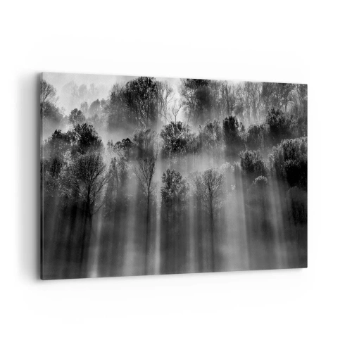 Obraz na plátne - V lúčoch svetla - 100x70 cm