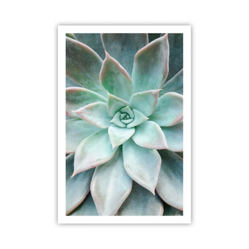 Plagát - Srdce púšte - 61x91 cm