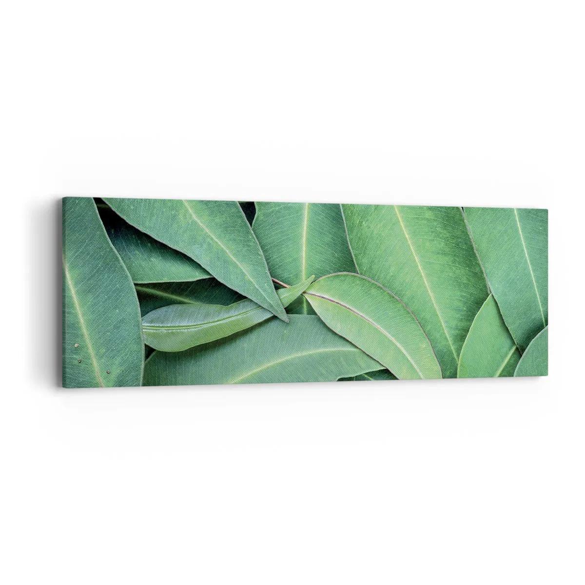 Obraz na plátne - Šťavnaté a svieže - 90x30 cm