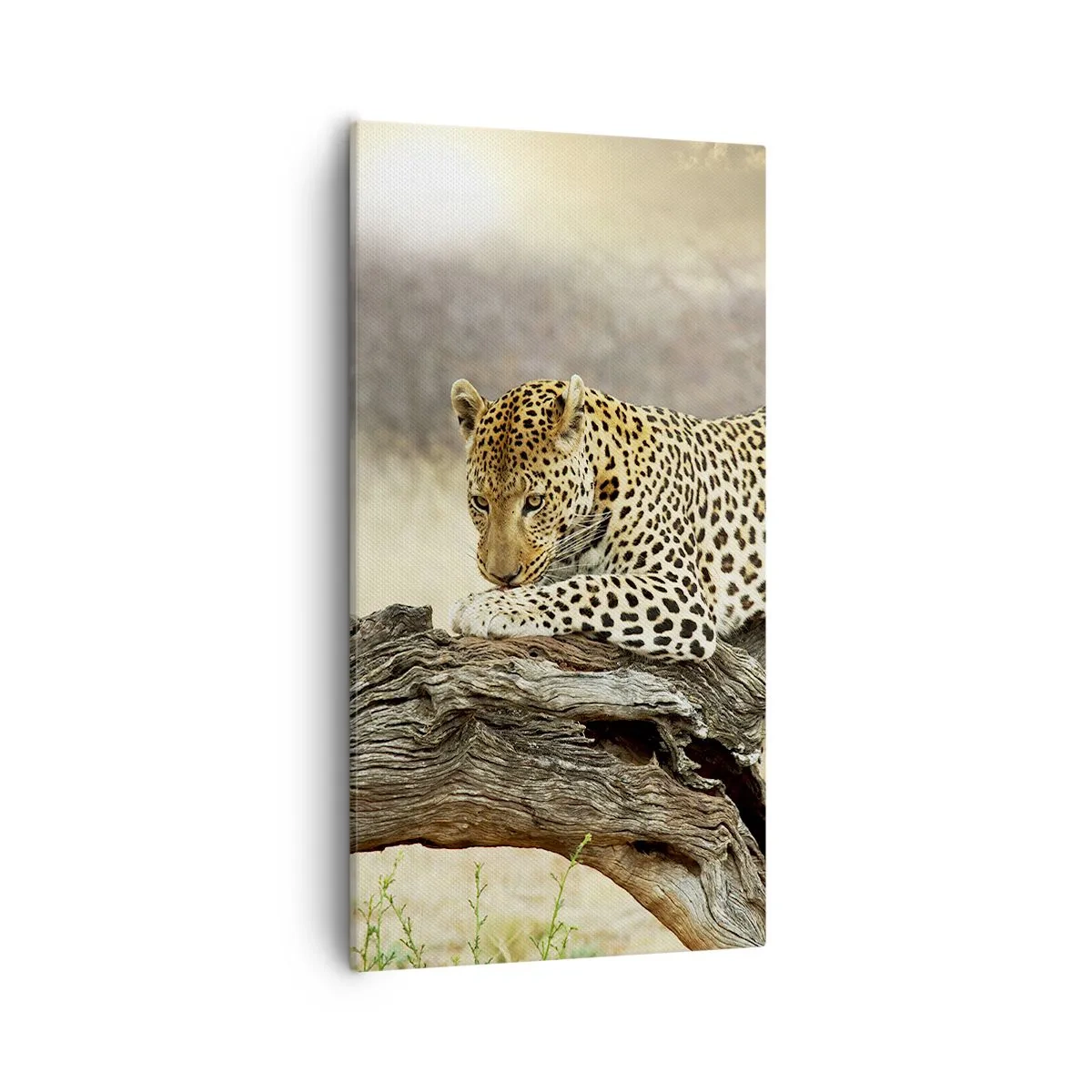 Obraz na plátne - Chodím vlastnými cestami - 55x100 cm