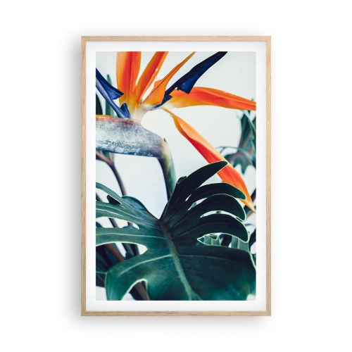 Plagát v ráme zo svetlého duba - Vtáker - 61x91 cm
