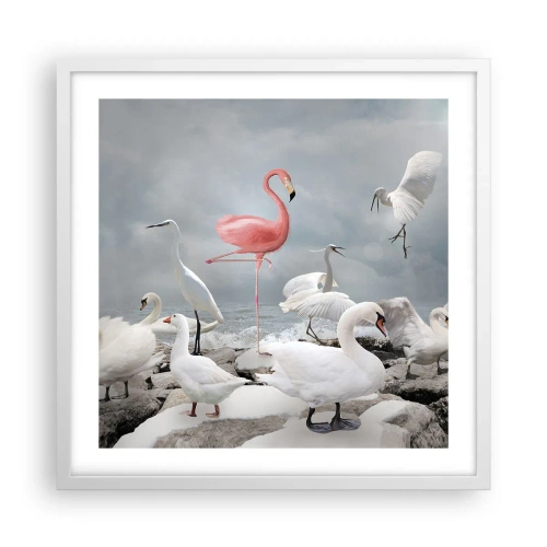 Plagát v bielom ráme - Kde som sa tu vzal? - 50x50 cm