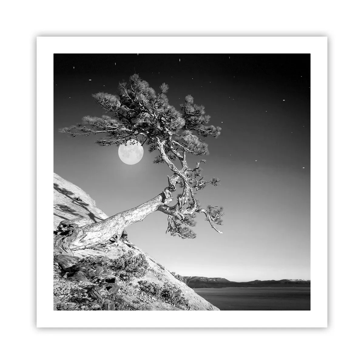 Plagát - Víťazná bojovníčka - 60x60 cm