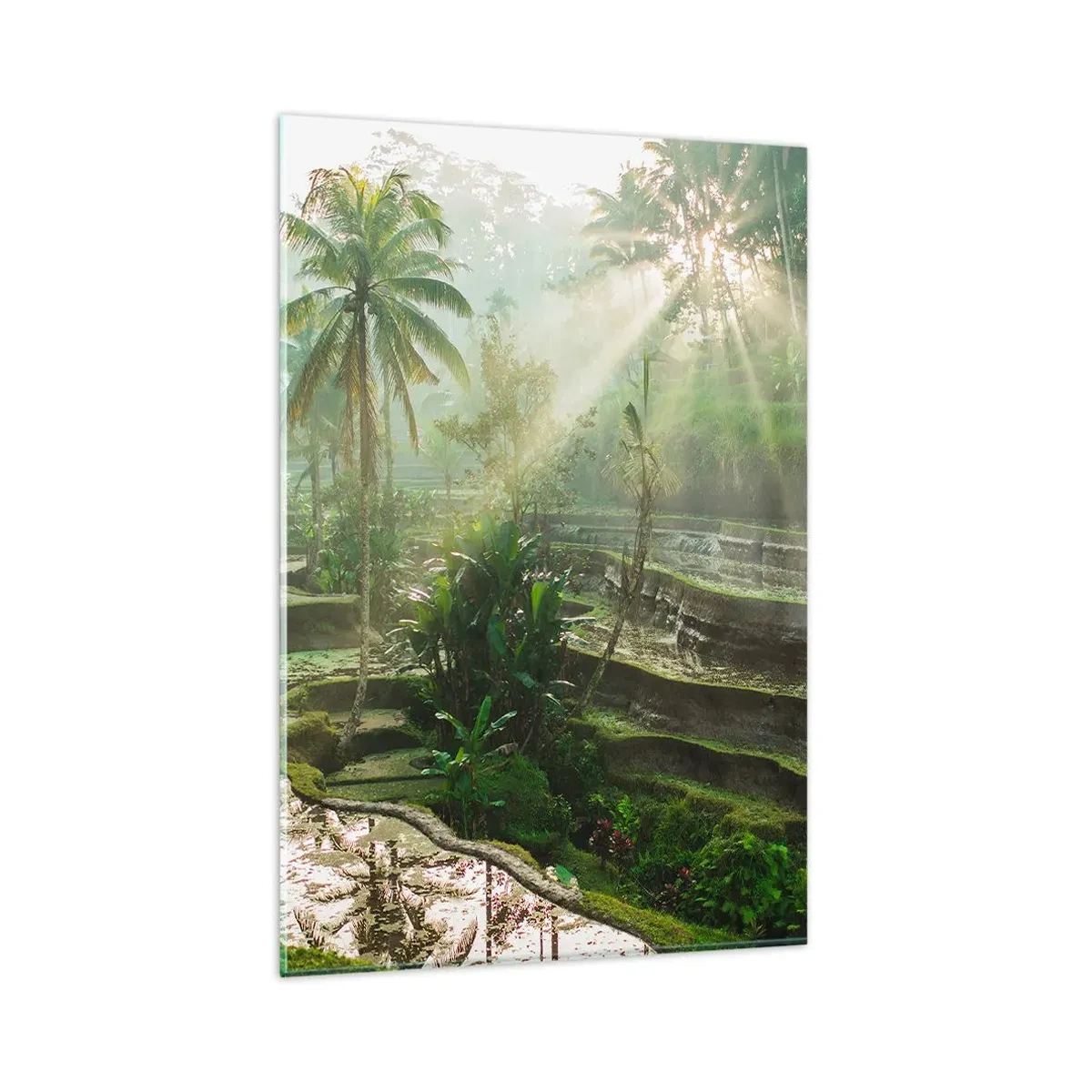 Obraz na skle - Vyrastať na slnku - 80x120 cm