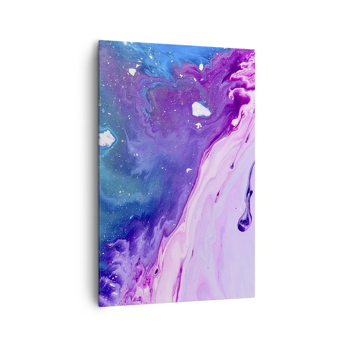 Obraz na plátne - Yin a yang - 80x120 cm