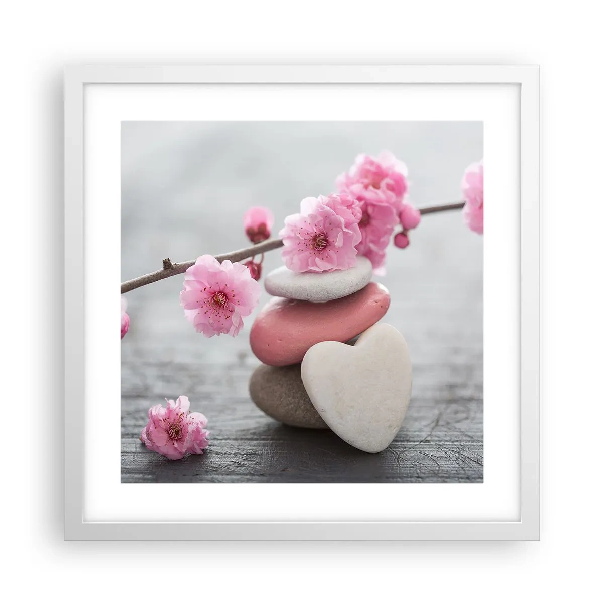 Plagát v bielom ráme - Blaženosť s višňovým kvetom - 40x40 cm