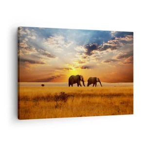 Obraz na plátne - Slony na savane pri západe slnka - 70x50cm - Rodinná prechádzka - Moderná nástenná dekorácia do obývacej izby a spálne ARTTOR