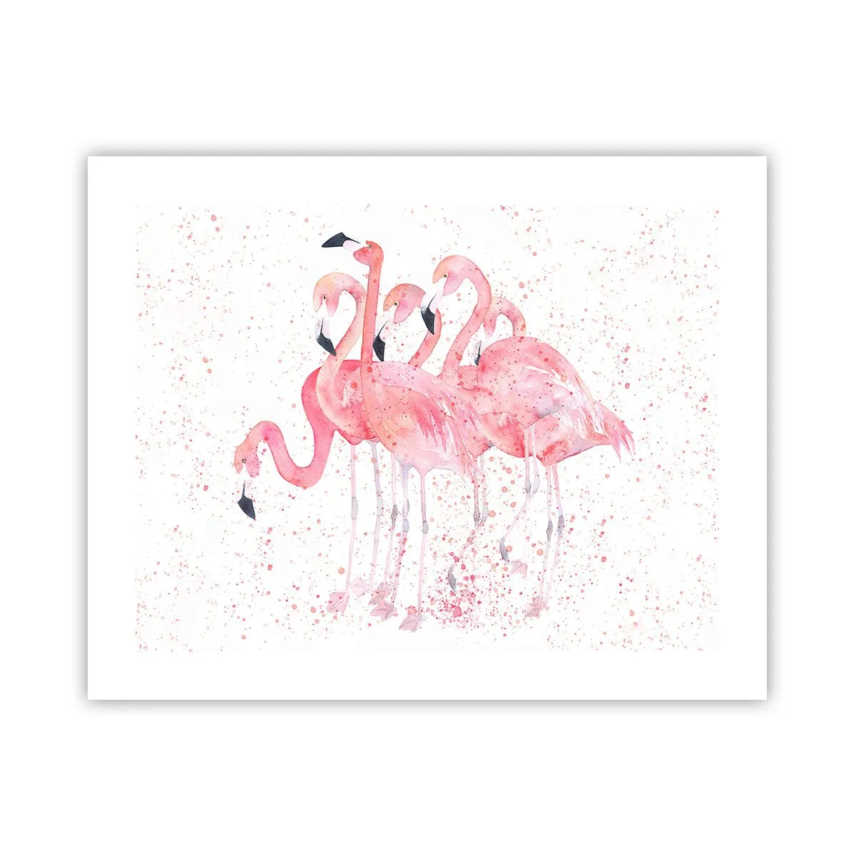 Plagát - Ružový ansámbl - 50x40 cm