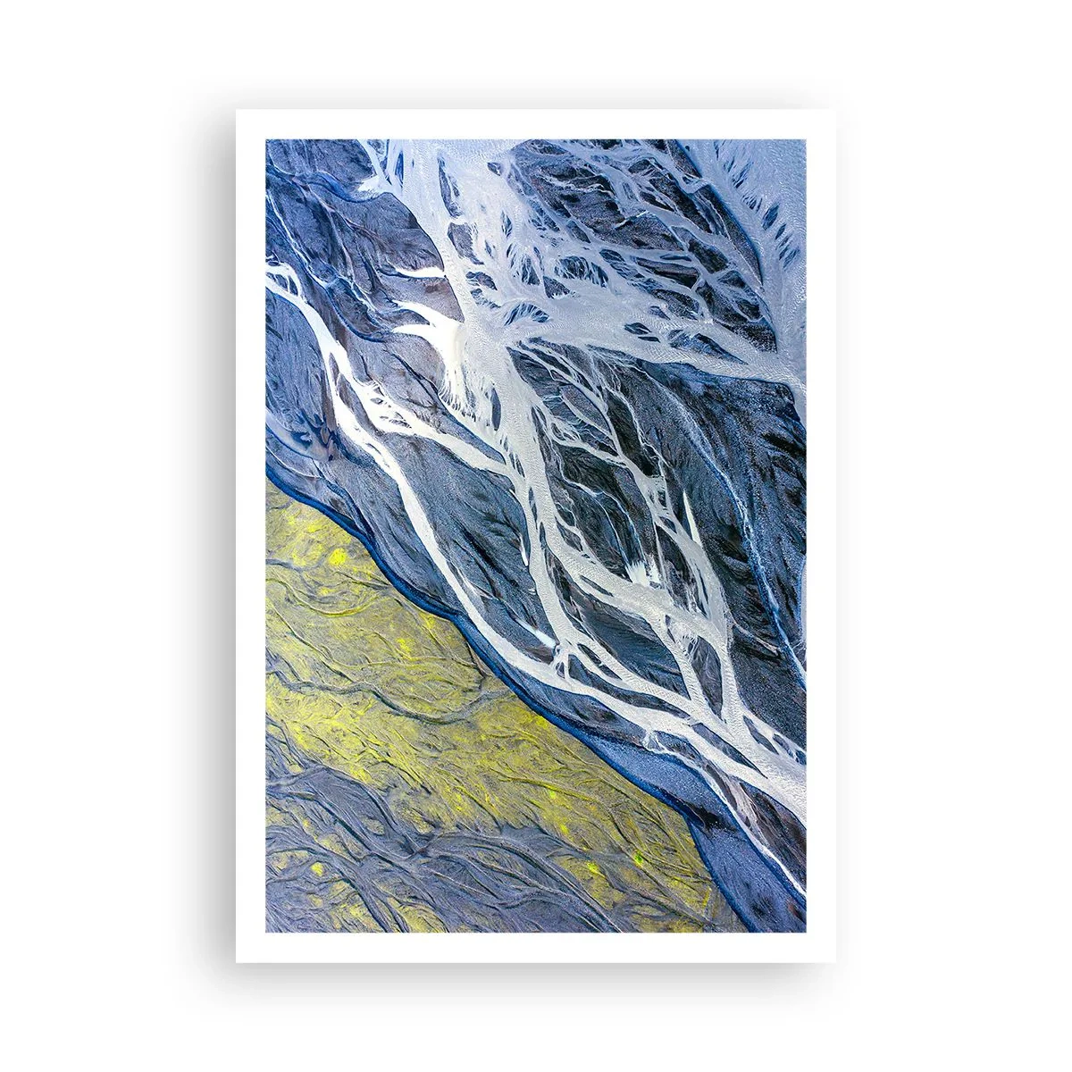 Plagát - Jaskynné maľby prírody - 70x100 cm