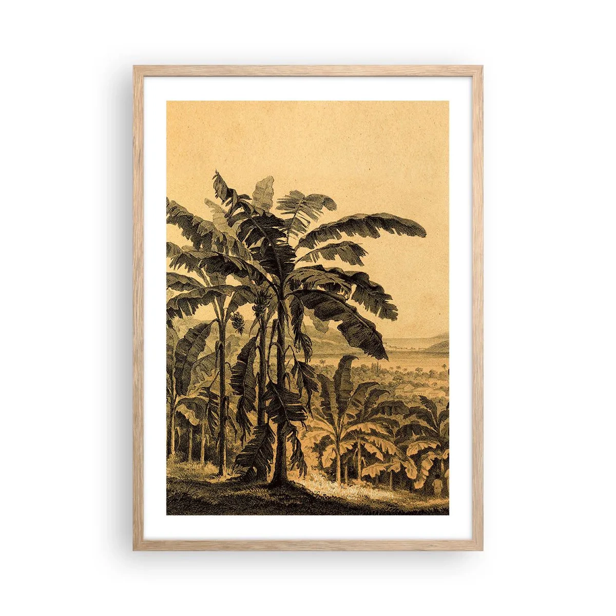 Plagát v ráme zo svetlého duba - V koloniálnom štýle - 50x70 cm