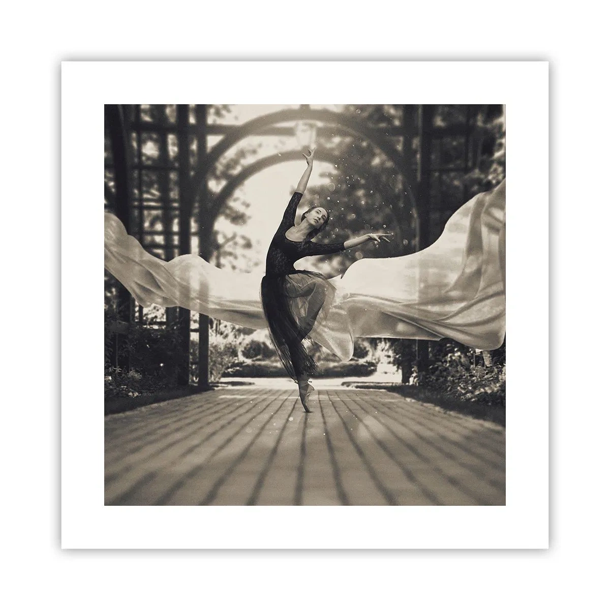 Plagát - Tanec ducha záhrady - 40x40 cm