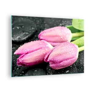 Obraz na skle - Tri ružové tulipány pokryté kvapkami vody na čiernom pozadí. - 70x50cm - Ľaliová trojica na čiernom kameni - Moderná nástenná dekorácia do obývacej izby a spálne ARTTOR