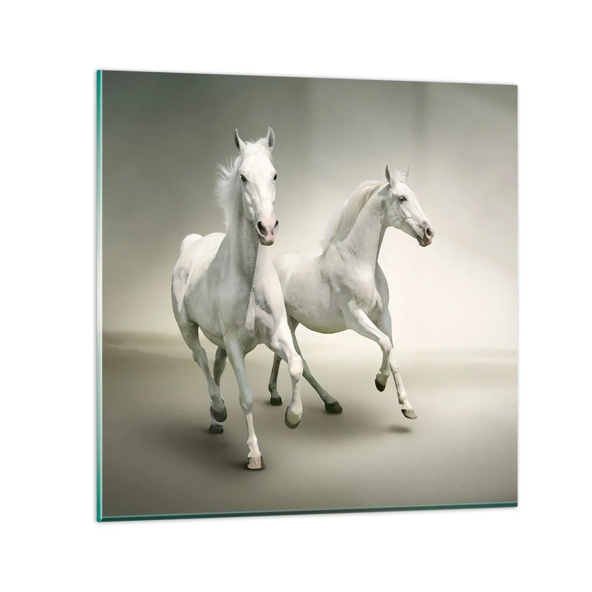 Obraz na skle - White power! - 60x60 cm