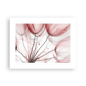 Plagát - Pred odletom - 40x30 cm