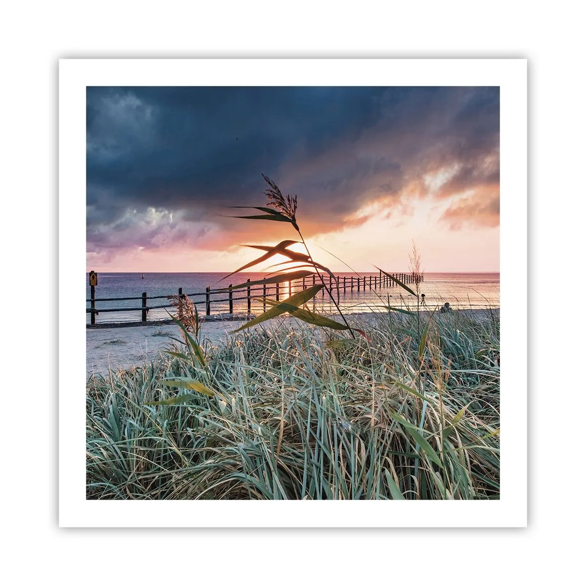 Plagát - Neodviate vetrom - 60x60 cm