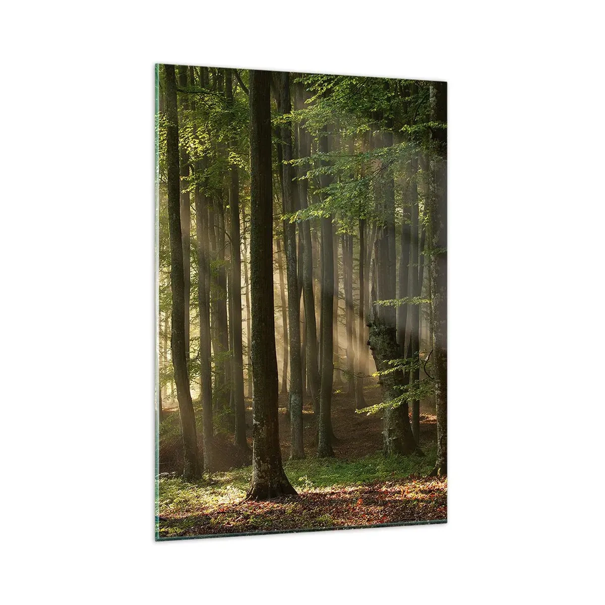 Obraz na skle - Rozžiarený v jarnom ráne - 80x120 cm