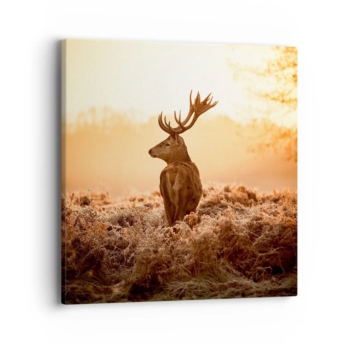 Obraz na plátne - Pán na panstve - 40x40 cm