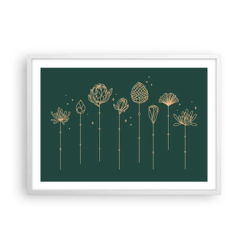 Plagát v bielom ráme - Bylinky - 70x50 cm