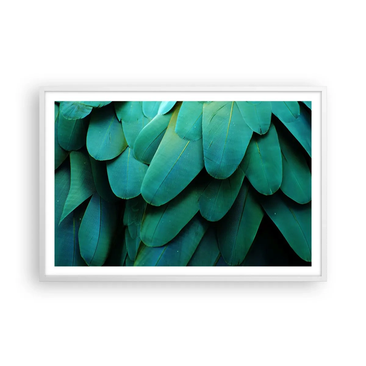 Plagát v bielom ráme - Presnosť papagájovej povahy - 91x61 cm