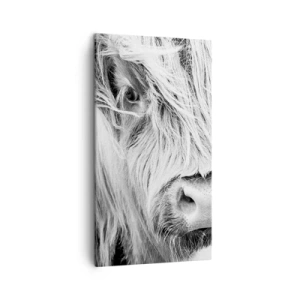 Obraz na plátne - Škótska divokosť - 45x80 cm