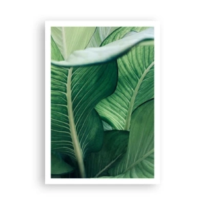 Plagát - Intenzívne zelený život - 70x100 cm