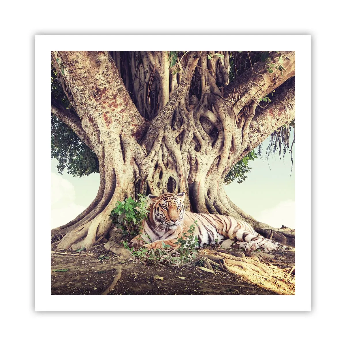 Plagát - Pohľad z knihy Mojžišovej - 60x60 cm